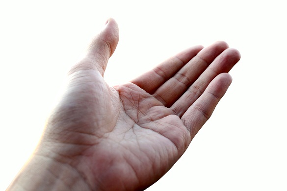 Rahasia di Balik Tangan Manusia 